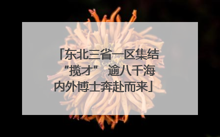 东北三省一区集结“揽才” 逾八千海内外博士奔赴而来