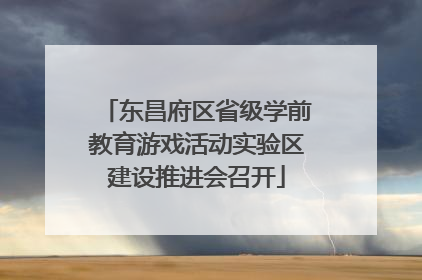 东昌府区省级学前教育游戏活动实验区建设推进会召开