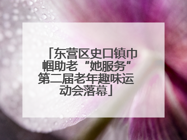 东营区史口镇巾帼助老“她服务”第二届老年趣味运动会落幕
