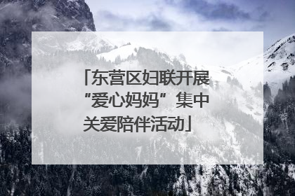 东营区妇联开展“爱心妈妈”集中关爱陪伴活动