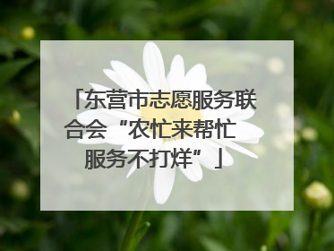 东营市志愿服务联合会“农忙来帮忙 服务不打烊”