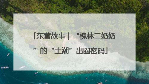 东营故事｜“槐林二奶奶”的“土潮”出圈密码