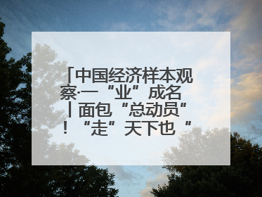 中国经济样本观察·一“业”成名丨面包“总动员”！“走”天下也“香”家乡