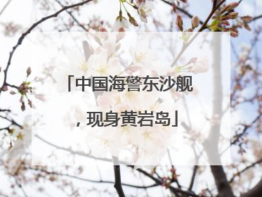 中国海警东沙舰，现身黄岩岛