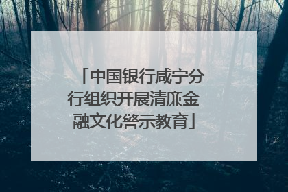 中国银行咸宁分行组织开展清廉金融文化警示教育