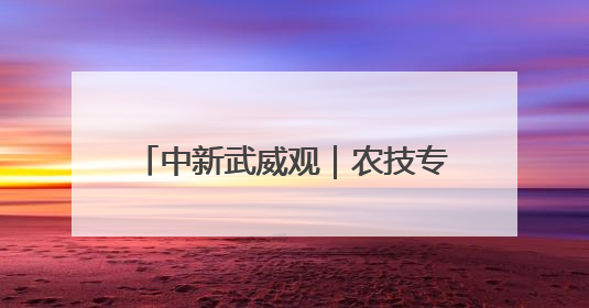中新武威观｜农技专家田间地头“把脉开方”送“及时雨”