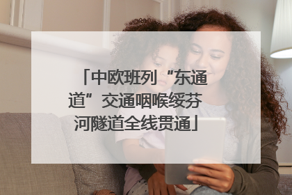 中欧班列“东通道”交通咽喉绥芬河隧道全线贯通