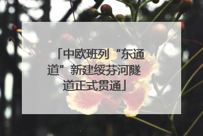 中欧班列“东通道”新建绥芬河隧道正式贯通
