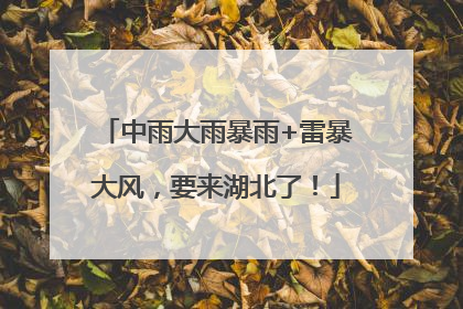 中雨大雨暴雨+雷暴大风，要来湖北了！