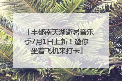 丰都南天湖避暑音乐季7月1日上新！邀你坐着飞机来打卡
