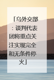 乌外交部：谈判代表团将重点关注实现完全和无条件停火