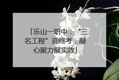 乐山一职中：“三名工程”迎终考，凝心聚力展实效