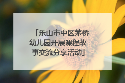 乐山市中区茅桥幼儿园开展课程故事交流分享活动