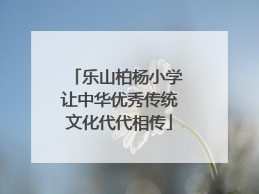 乐山柏杨小学让中华优秀传统文化代代相传