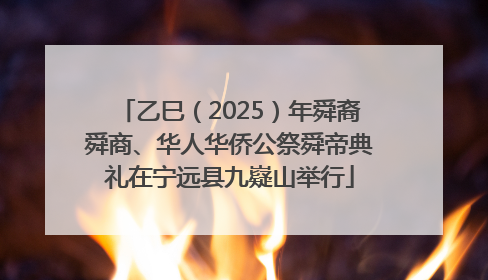 乙巳（2025）年舜裔舜商、华人华侨公祭舜帝典礼在宁远县九嶷山举行