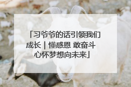 习爷爷的话引领我们成长｜懂感恩 敢奋斗 心怀梦想向未来