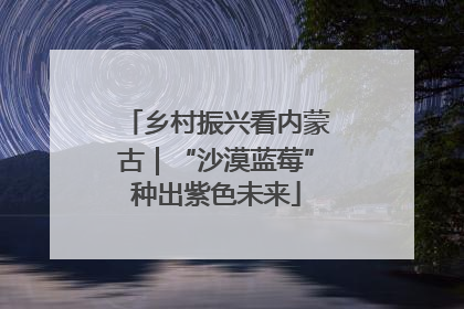 乡村振兴看内蒙古｜“沙漠蓝莓”种出紫色未来