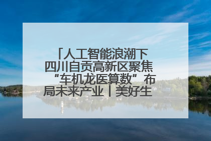 人工智能浪潮下 四川自贡高新区聚焦“车机龙医算数”布局未来产业丨美好生活有“盐”味
