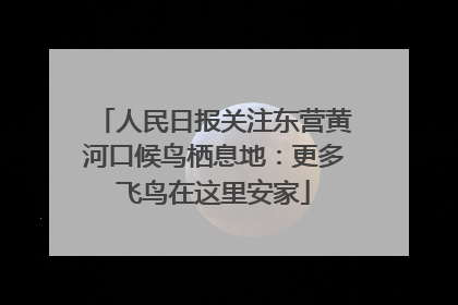 人民日报关注东营黄河口候鸟栖息地：更多飞鸟在这里安家