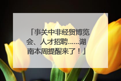 事关中非经贸博览会、人才招聘……湖南本周提醒来了！