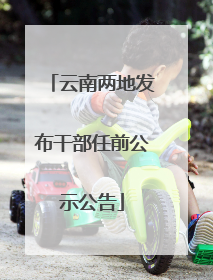 云南两地发布干部任前公示公告