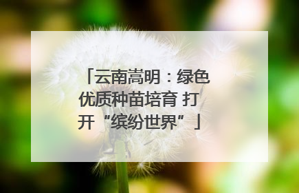 云南嵩明：绿色优质种苗培育 打开“缤纷世界”