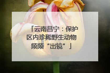 云南昌宁：保护区内珍稀野生动物频频“出镜”