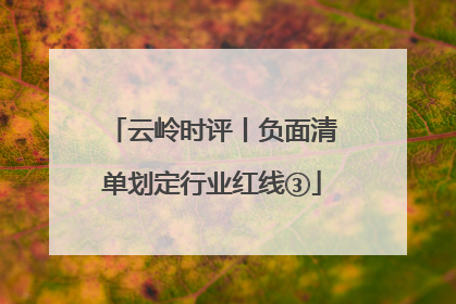 云岭时评丨负面清单划定行业红线③