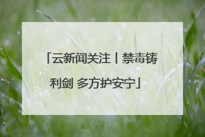 云新闻关注丨禁毒铸利剑 多方护安宁