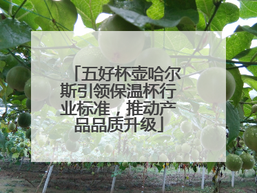 五好杯壶哈尔斯引领保温杯行业标准，推动产品品质升级