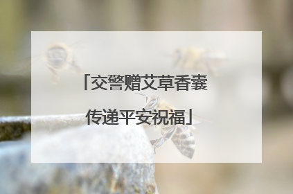 交警赠艾草香囊 传递平安祝福