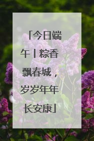 今日端午丨粽香飘春城，岁岁年年长安康
