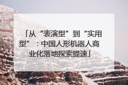 从“表演型”到“实用型”：中国人形机器人商业化落地探索提速