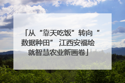从“靠天吃饭”转向“数据种田” 江西安福绘就智慧农业新画卷