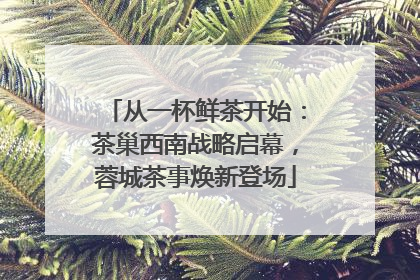 从一杯鲜茶开始：茶巢西南战略启幕，蓉城茶事焕新登场