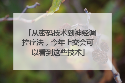 从密码技术到神经调控疗法，今年上交会可以看到这些技术