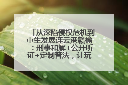 从深陷侵权危机到重生发展连云港赣榆：刑事和解+公开听证+定制普法，让玩具公司回到正轨