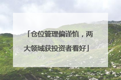 仓位管理偏谨慎，两大领域获投资者看好