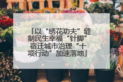 以“绣花功夫”缝制民生幸福“针脚” 宿迁城市治理“十项行动”加速落地