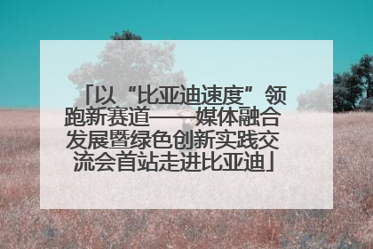以“比亚迪速度”领跑新赛道——媒体融合发展暨绿色创新实践交流会首站走进比亚迪