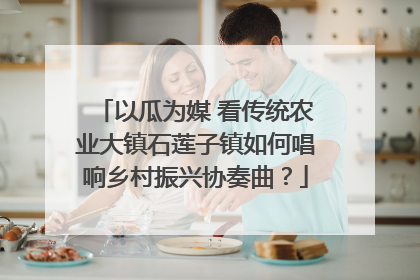 以瓜为媒 看传统农业大镇石莲子镇如何唱响乡村振兴协奏曲？