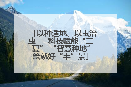 以种适地、以虫治虫……科技赋能“三夏” “智慧种地”绘就好“丰”景