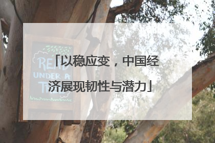 以稳应变，中国经济展现韧性与潜力