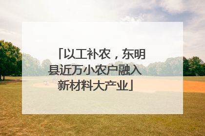 以工补农，东明县近万小农户融入新材料大产业
