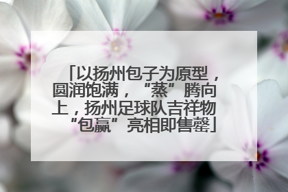 以扬州包子为原型，圆润饱满，“蒸”腾向上，扬州足球队吉祥物“包赢”亮相即售罄