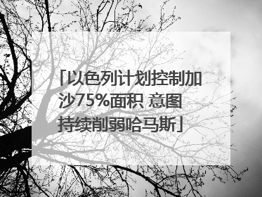 以色列计划控制加沙75%面积 意图持续削弱哈马斯