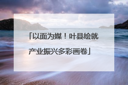 以面为媒！叶县绘就产业振兴多彩画卷
