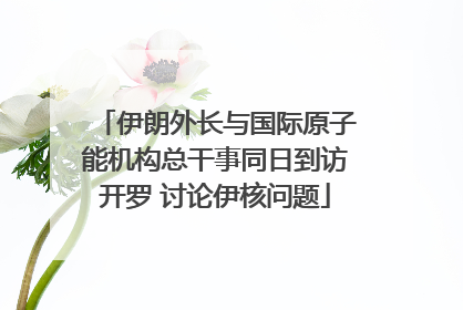 伊朗外长与国际原子能机构总干事同日到访开罗 讨论伊核问题