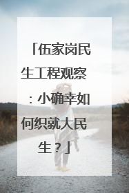 伍家岗民生工程观察：小确幸如何织就大民生？