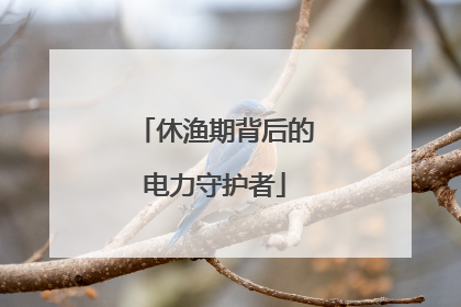 休渔期背后的电力守护者